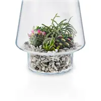 Eva Solo Succulent Vaas Transparant 21 cm