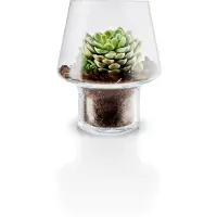 Eva Solo Succulent Vaas Transparant 15 cm