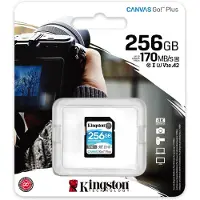 Kingston Canvas Go Plus 256GB SDXC