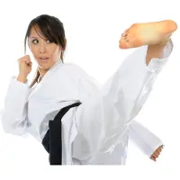 Nihon Karatepak Wit