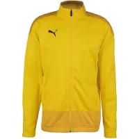 Puma Team Goal 23 Training Sweatshirt Geel 2XL Man