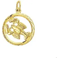 Trendjuwelier huiscollectie 4005690x Gouden bedel sterrenbeeld