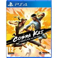Cobra Kai - The Karate Kid Saga Continues | PlayStation 4