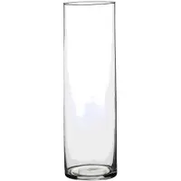 Mica Decorations 1x Ronde glazen cilinder vaas/vazen transparant 30 cm lang - Vazen