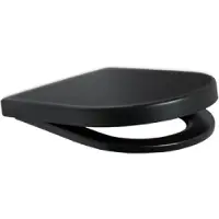 Plieger Nola/Kansas Toiletbril - D-Vorm WC Bril - Duroplast - Mat Zwart - Met Deksel - Softclose - RVS bevestiging