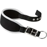 Ferplast Ergocomfort 15 Mm 32 Cm Dog Collar Zwart