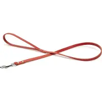 Beeztees Geniet - Hondenriem - Rood - Leer - 1 meter - 12 mm