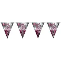 Folat 5x stuks leeftijd vlaggenlijnen sweet 16 van 10 meter