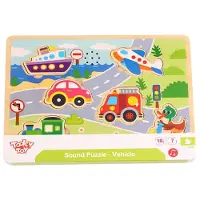 Tooky Toy vormenpuzzel junior 29 x 21,5 cm hout 10 delig