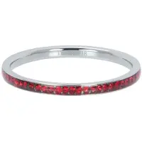 Ixxxi Vulring Zirconia Light Siam Zilver