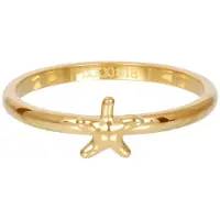 Ixxxi Vulring Symbol Sea Star Goud