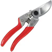Ars Snoeischaar M 20cm