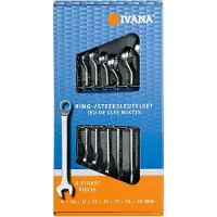 PM Ring-/steeksleutelset multidrive
