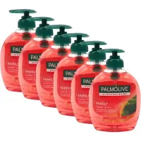 Palmolive Vloeibare Handzeep Anti-bacterie Zacht And Schoon Pomp Voordeelverpakking 6x300ml