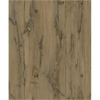 Dutch Wallcoverings Odyssee hout bruin L860-18