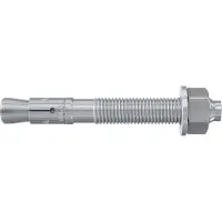 Fischer 45567 FBN II 16/100 Boutanker 220 mm 16 mm 10 stuk(s)