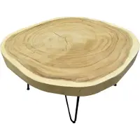 AVH-Collectie Boomstamtafel met metalen poten 80xH45 rond - bladdikte 6 cm