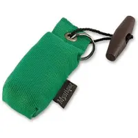 Mystique Dummy Key Case Groen