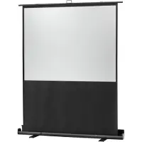 Celexon Ultramobile Plus Professional (16:9) 174 x 98