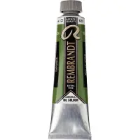 Rembrandt Olieverf Tube 40 ml Sapgroen 623