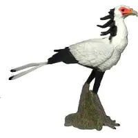 Collecta Figurine - Secretarisvogel - (L) - Wilde Dieren - Handgeschilderd - Miniatuur
