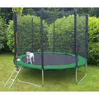 Viking Sports Trampoline 244 cm groen - met veiligheidsnet - tot 110 kg