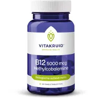 Vitakruid B12 5000 mcg methylcobalamine (60 smelttabletten)