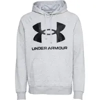 Under Armour Rival Big Logo Hoodie Grijs XL / Regular Man