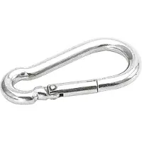 Talamex Rvs Classic Carabiner Hook 10 Units Zilver 60 mm