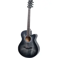 Fazley W55-COL-BK ColourTune western gitaar zwart