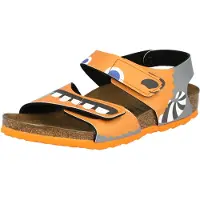 Birkenstock Open schoenen 'Palu'