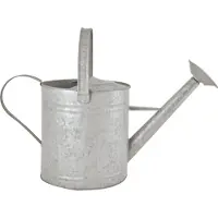 Pflanzen-Kölle Oud zink gieter 6,6 liter