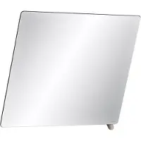 Delabie Kantelbare spiegel 600x500 met antraciet grijs greep