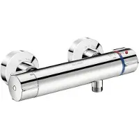 Delabie Securitherm Biosafe Thermostatische Douchemengkraan S/C-Kop