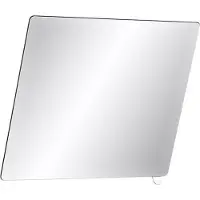 Delabie Spiegel 510202N