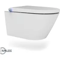 Wiesbaden Vesta rimless wand douche-WC wit
