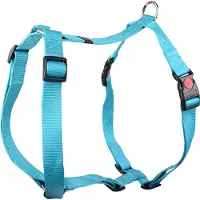 Flamingo Hondentuig H-harnas Ziggi Turquoise