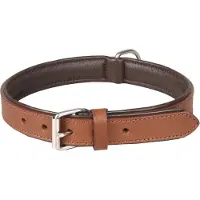 Flamingo Arizona Hondenhalsband