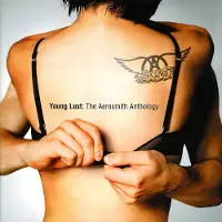 Bertus Distributie Young Lust: The Aerosmith Anthology