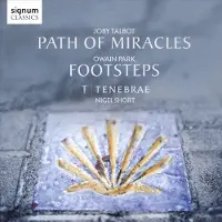 Sonic Path Of Miracles, Footsteps