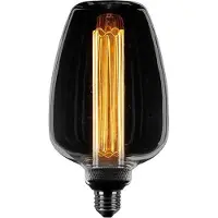 Expo Deco led kooldraad 43S 11x20cm 1w/2.5w/5w 3 standen E27 1800k smoke glas 20-50-100l 3 stappen dimbaar