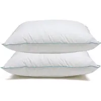 Noblesse Pearl Plus Hoofdkussen Set (2 Stuks) - 60x70 cm - Wit