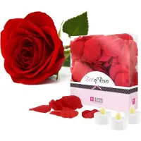 Lovers Premium LoversPremium Bed of Roses - Rood -