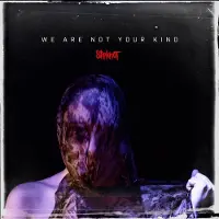 Cd - We Are Not Your Kind - voor Geen - standaard | Maat Standard