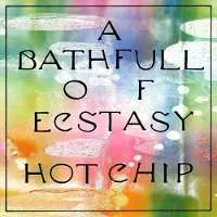 Hot-chip - A Bath Full of Ecstasy (2 LP)