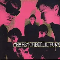 Bertus Distributie The Psychedelic Furs