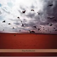 V2 Red Eye Bop Kaballah