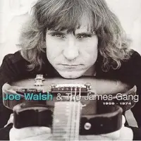 Bertus Distributie The Best Of Joe Walsh & The James Bang (1969-1974)