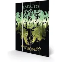 Harry Potter - Expecto Patronum - Impression sur bois 20x29.5
