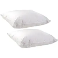 ISleep Donzen Hoofdkussen 15% Eendendons Set (2 Stuks) - 60x70 cm